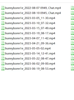 [自行打包] 三部曲【下卷】CB站主播bunnybonn1e超大合集 [13v+78G][百度盘]